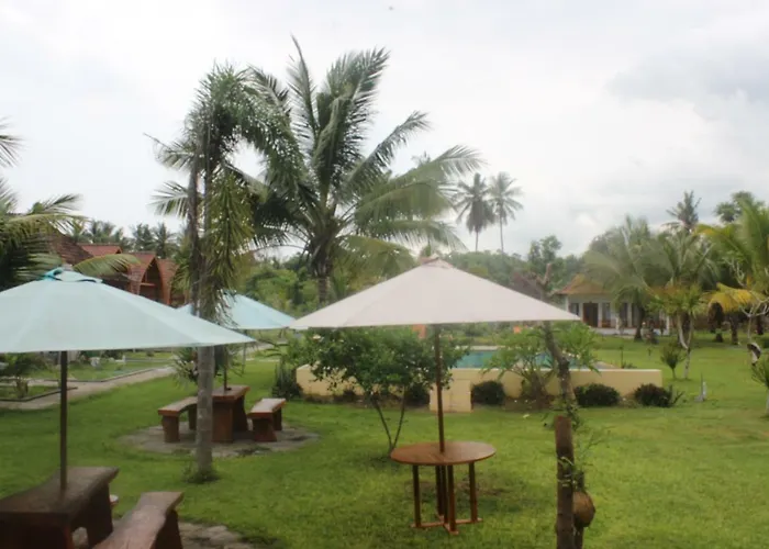 Wani Bali 2 3*
