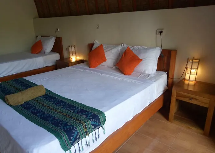 Wani Bali 2